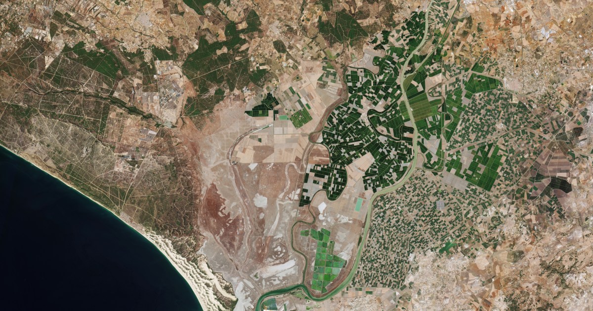 See the first images from Europe’s Sentinel-2C satellite