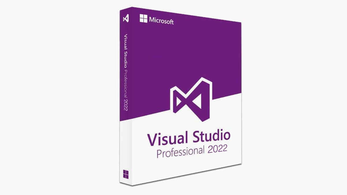 Buy a Microsoft Visual Studio Pro license for 